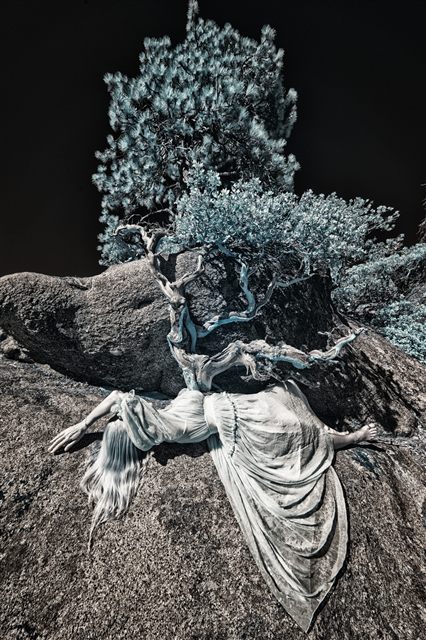 IR8_8179-Bearbeitet - Kopie