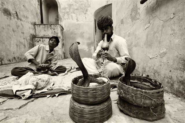 Snakecharmers