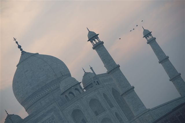 Taj Mahal and birds