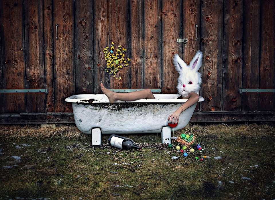 PetraH-Bunny-2