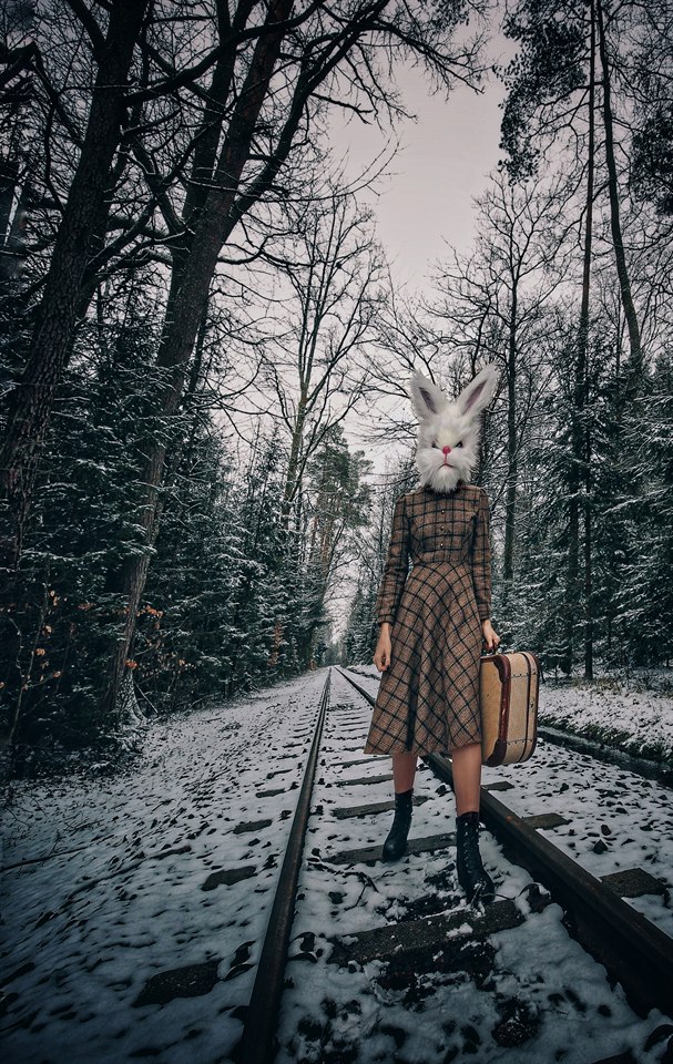 PetraH-Bunny-6